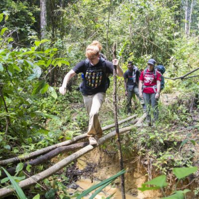 dsc_3444 Rainforest volunteer