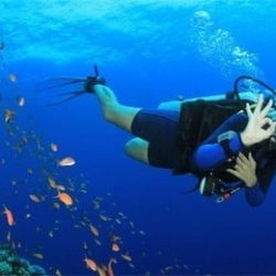 PADI Conservation Diving