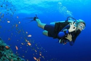 PADI Conservation Diving