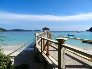 marine conservation internship