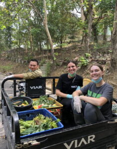 bear volunteering