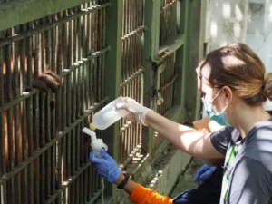 Learning conservation and animal care