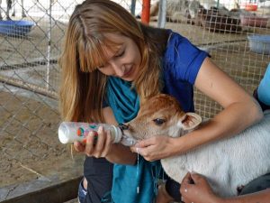 Benefits of Animal Volunteering