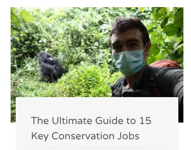 career advice centre