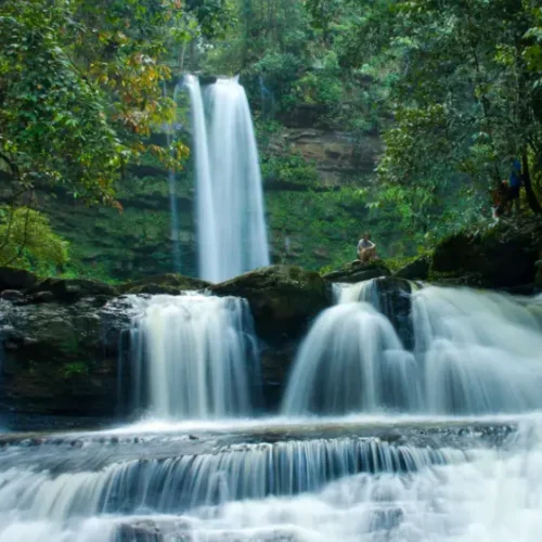 Screenshot-2021-02-04-at-15.17.11 Borneo rainforest trekking