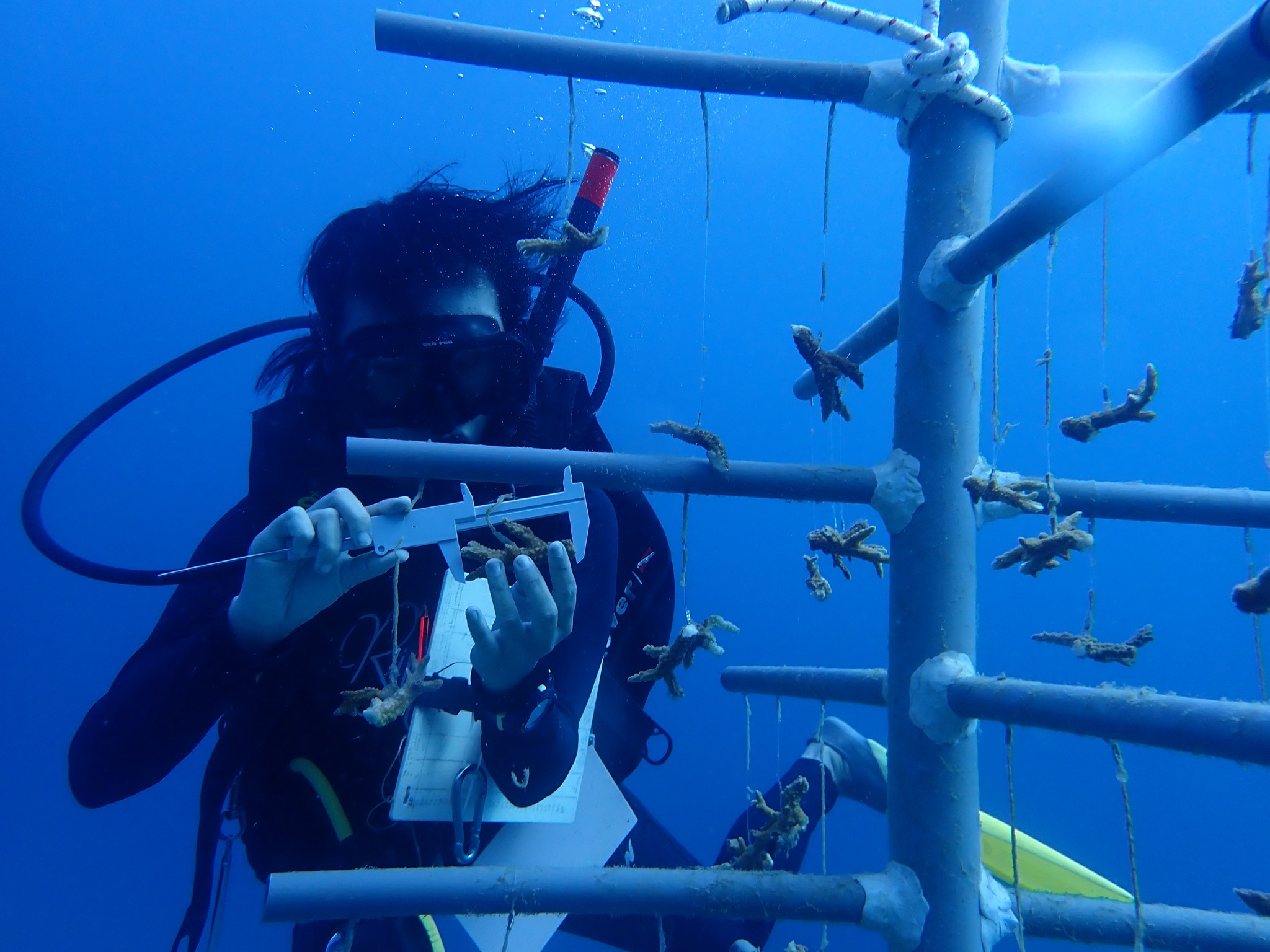 Tropical Marine Conservation Camp