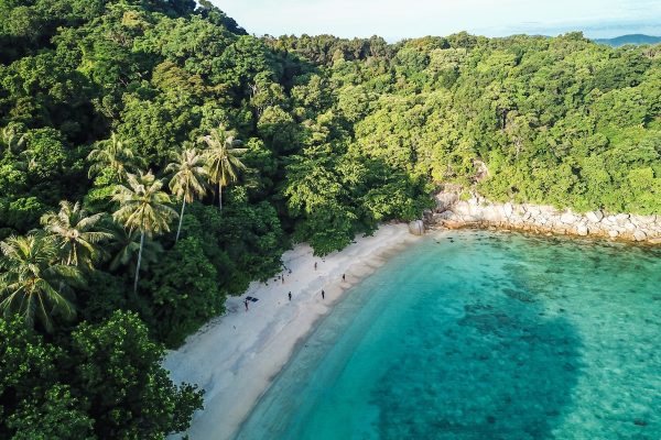 Tropical marine conservation camp