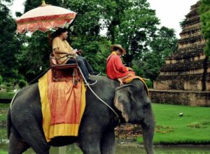 conservation of asian elephants