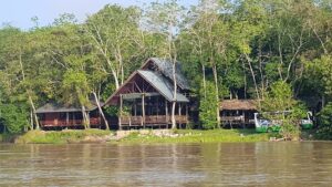 Borneo Sepilok Kinabatangan