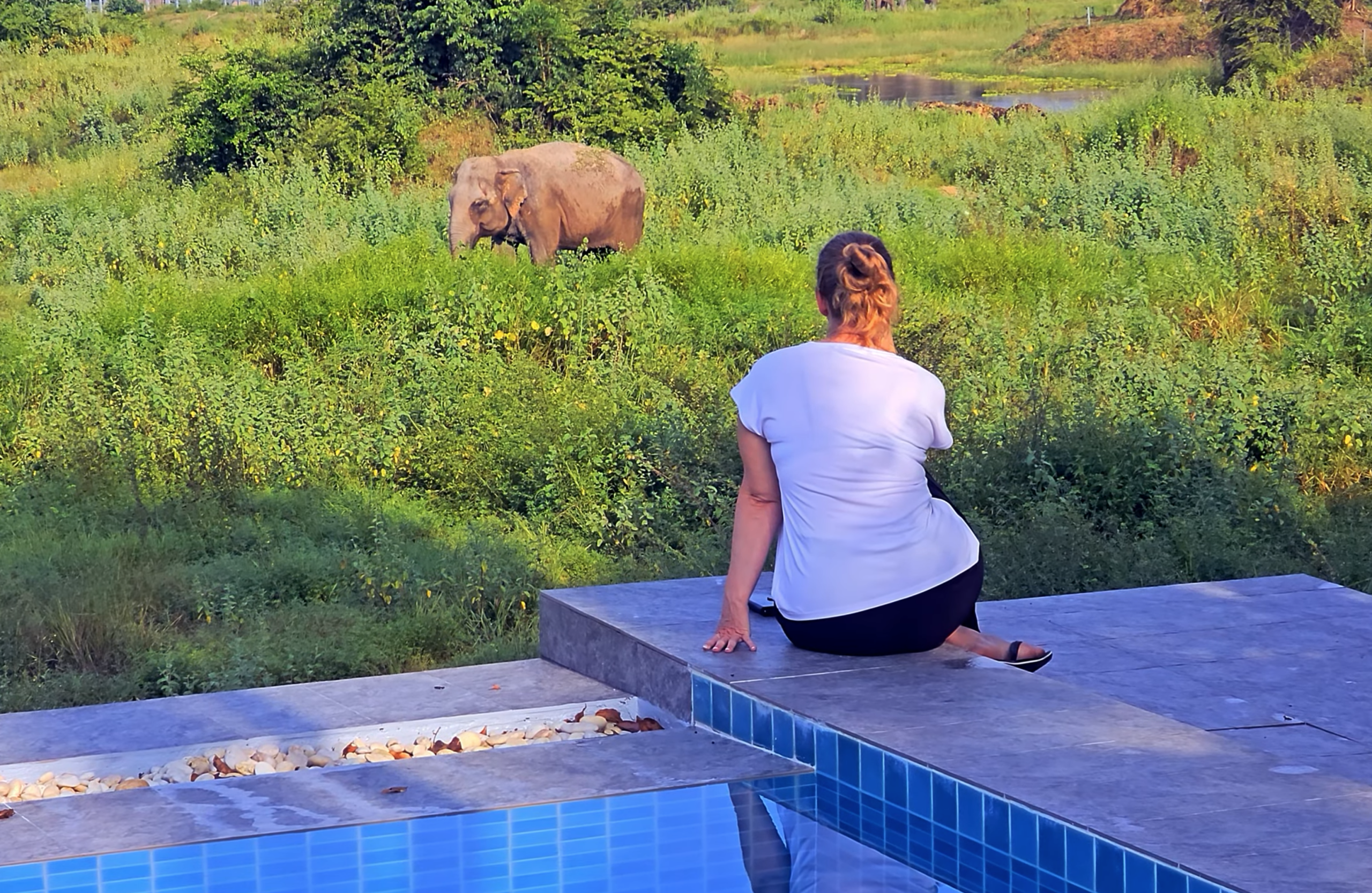 Thailand Wildlife holiday