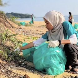 Conservation Internship