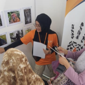 Wildlife conservation tour